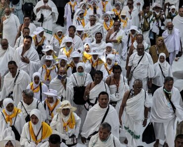 600 Egyptian pilgrims confirmed dead in Saudi Arabia