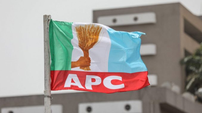 APC-Flag.jpg