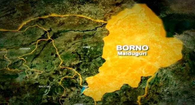 Borno-map.webp.webp