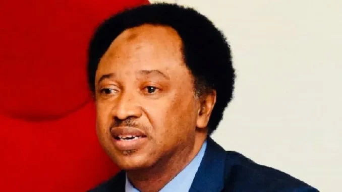 shehu-sani-says-1024x552.jpeg.webp.webp